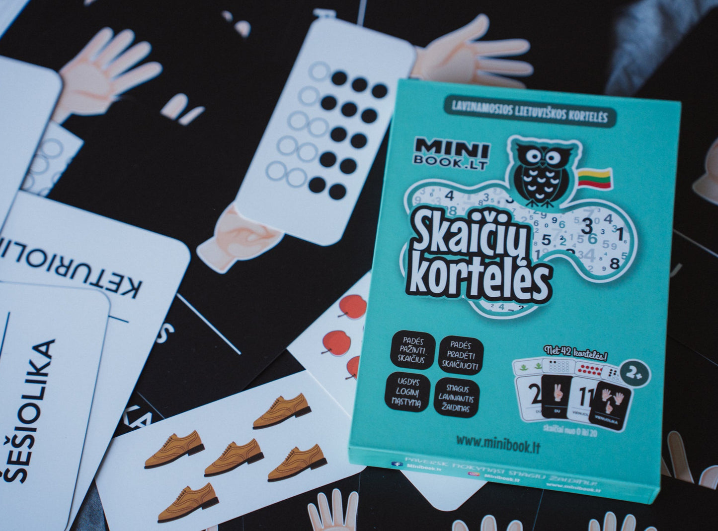 Lavinamosios SKAIČIŲ kortelės