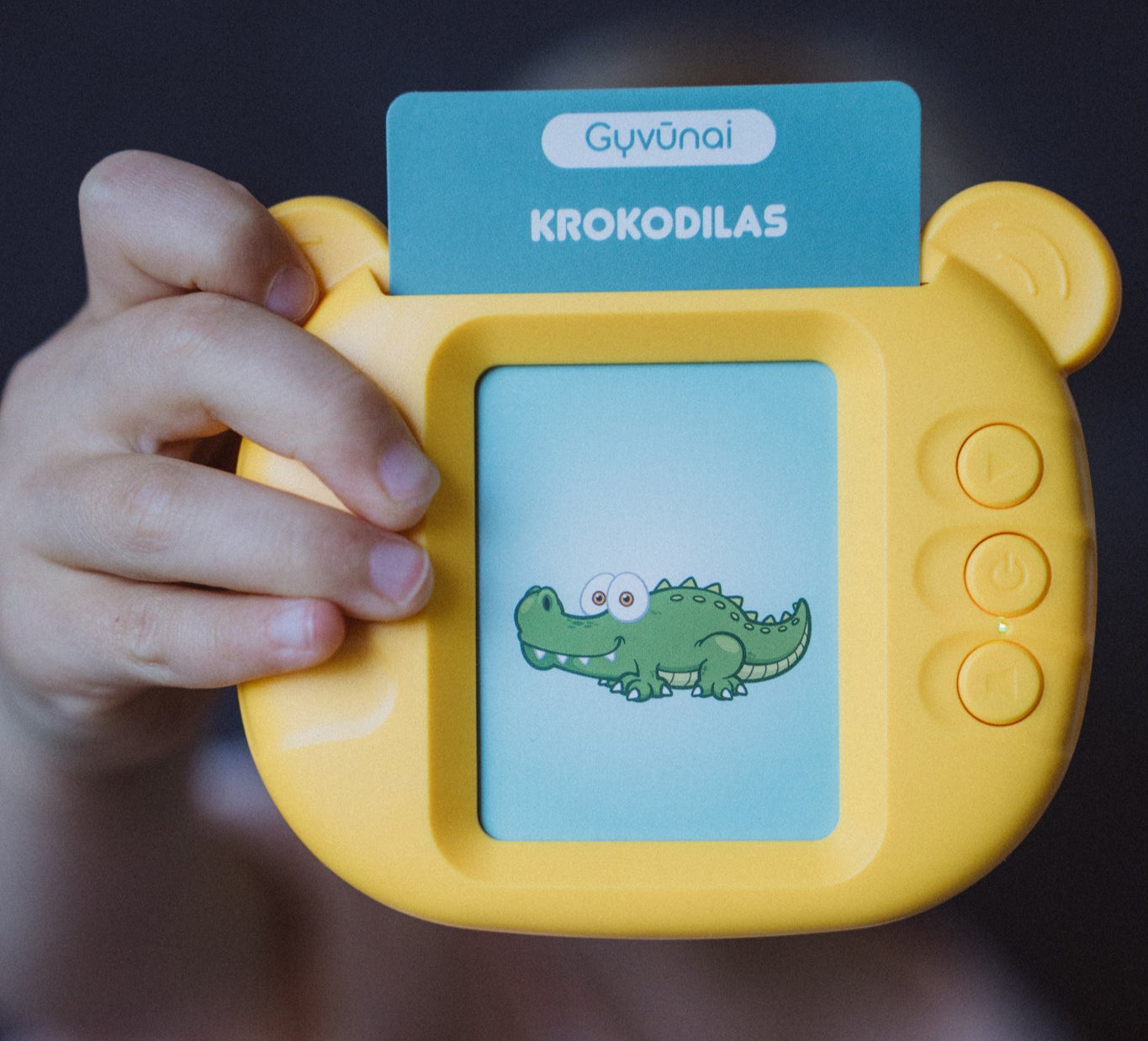 Lietuviškai įgarsintos lavinamosios kortelės